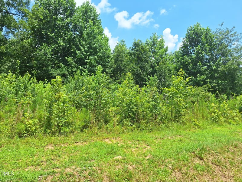 Carver St, Franklinton, NC 27525