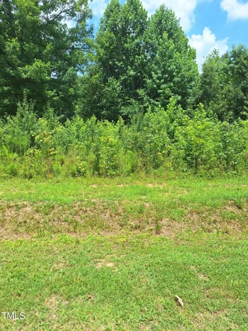 Carver St Lot 10/11, Franklinton, NC 27525