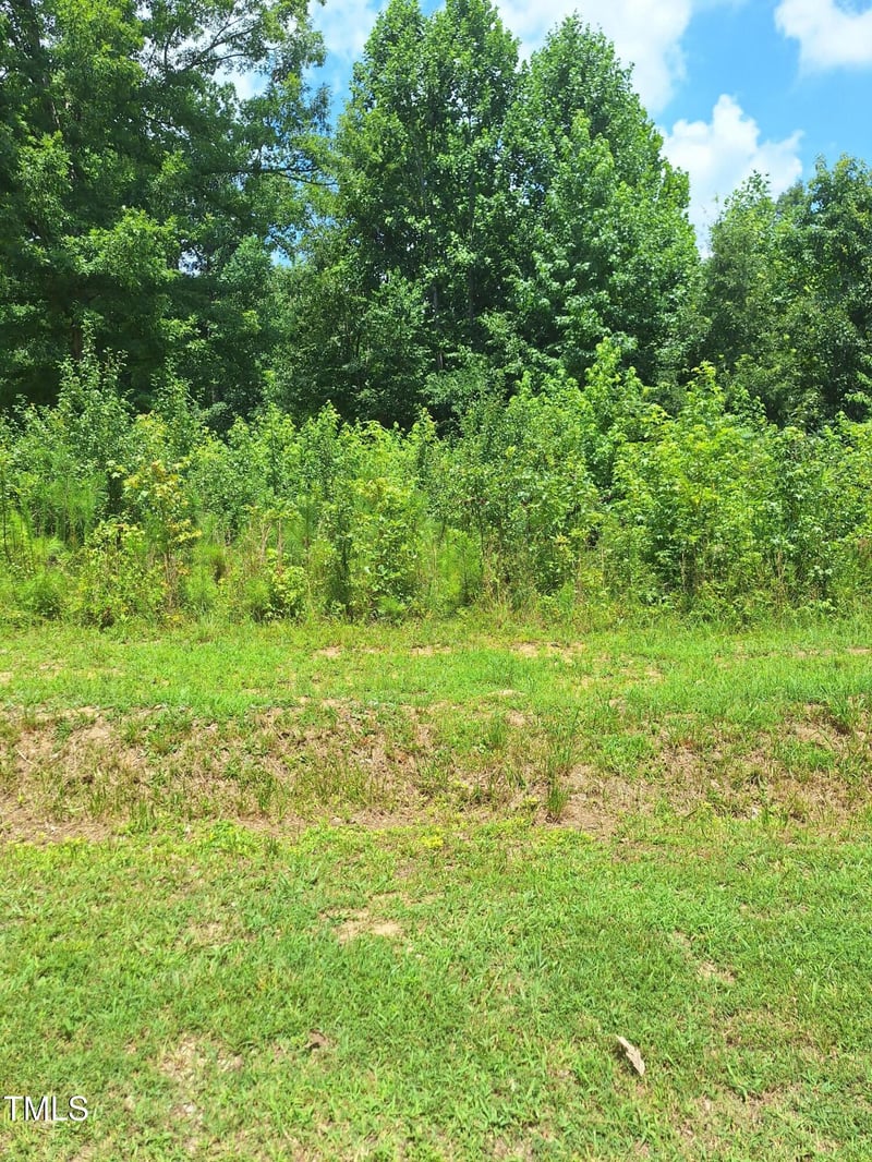 Carver St Lot 10/11, Franklinton, NC 27525