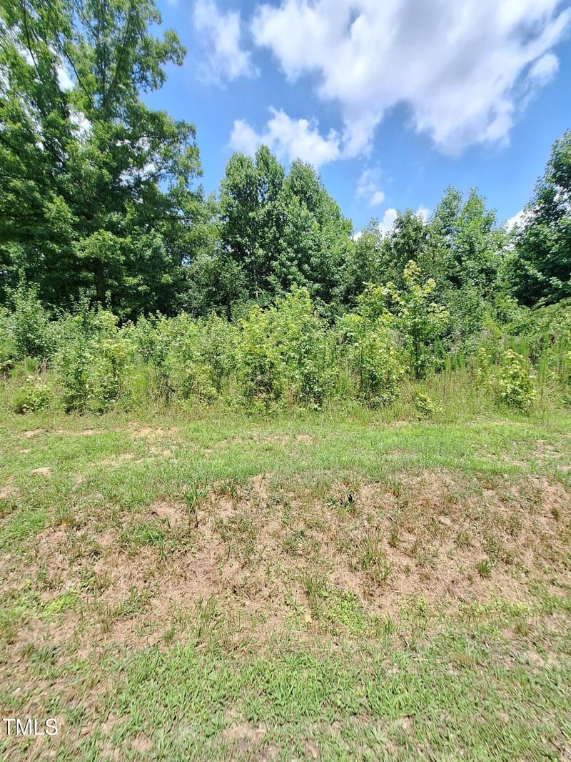 Carver St Lot 10/11, Franklinton, NC 27525