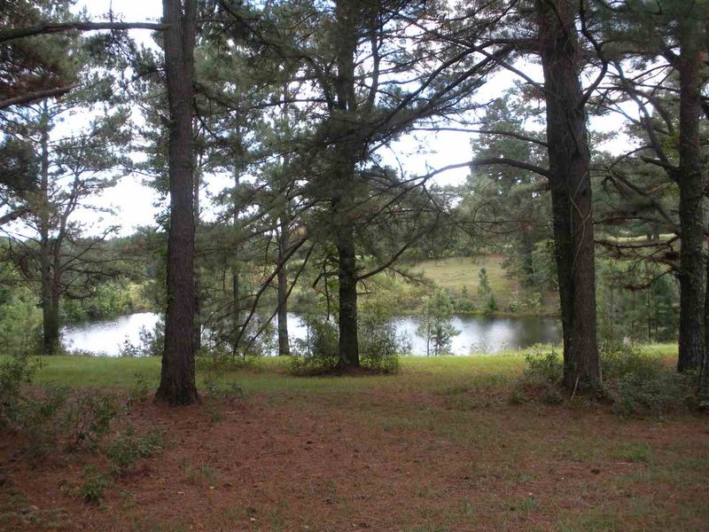 0 Castleberry Rd, Apex, NC 27523