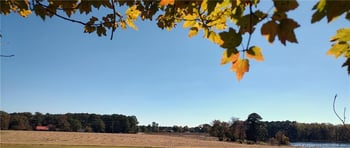 Castleberry Rd, Sanford, NC 27332