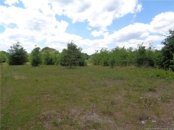 0 Cedar Creek Rd, Fayetteville, NC 28312