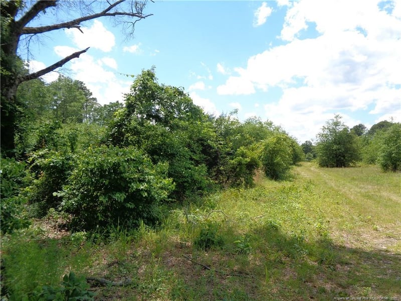 0 Cedar Creek Rd, Fayetteville, NC 28312