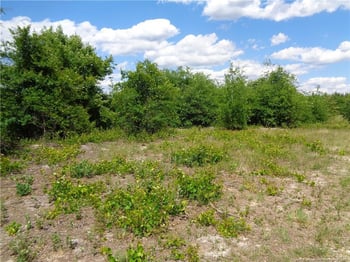 0 Cedar Creek Rd, Fayetteville, NC 28312