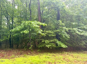 Chartres St Lot 37, Fuquay Varina, NC 27526