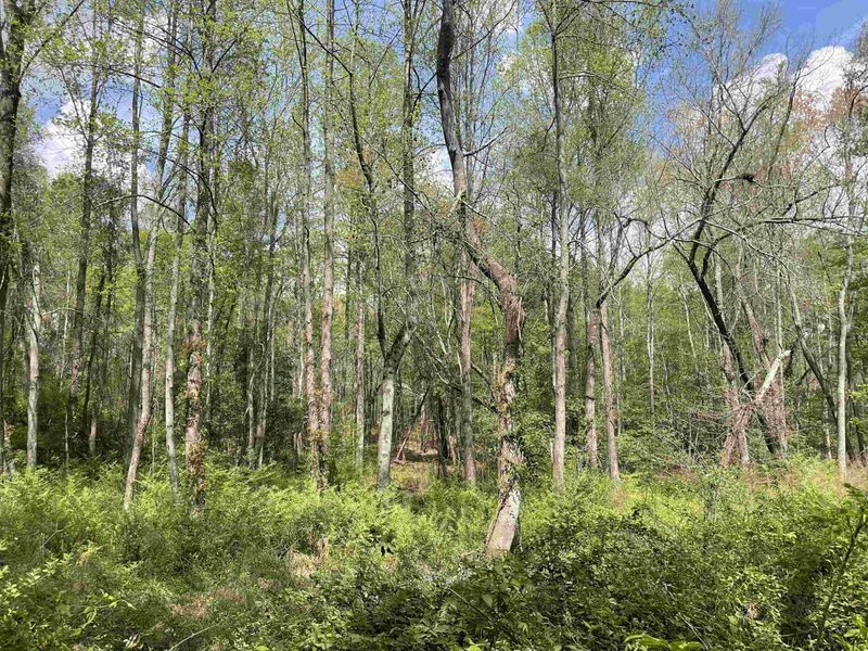 0 Chasbee Ln Lot 4, Angier, NC 27501