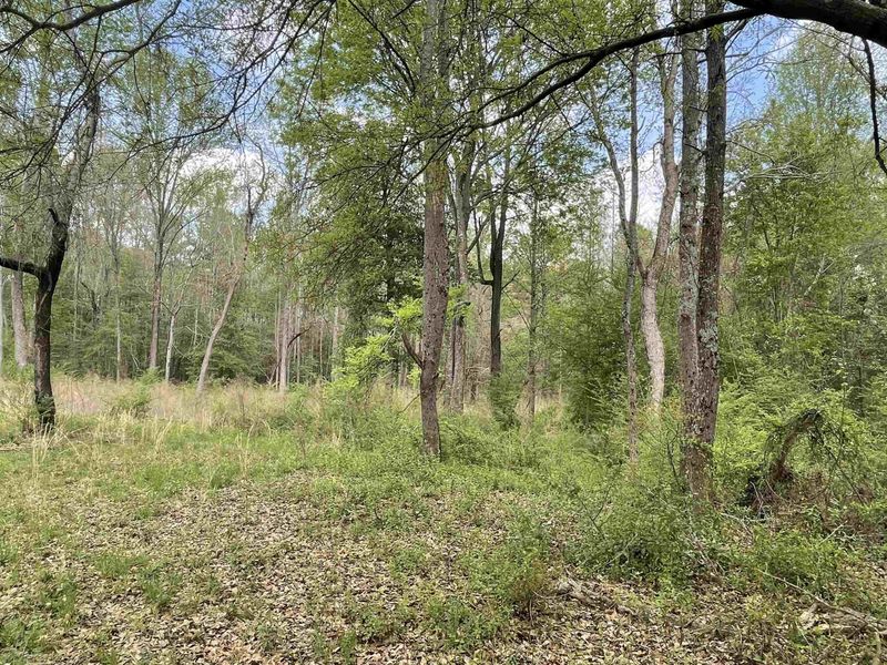 0 Chasbee Ln Lot 4, Angier, NC 27501