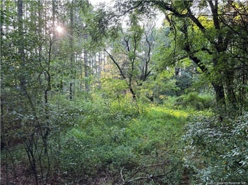 Christian Chapel Church Rd, Lillington, NC 27562