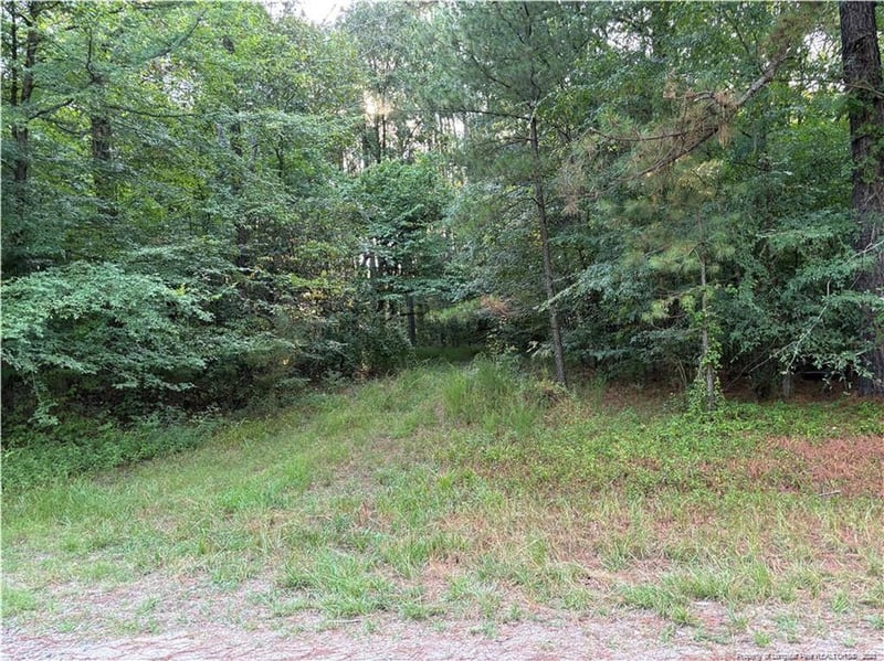 Christian Chapel Church Rd, Lillington, NC 27562
