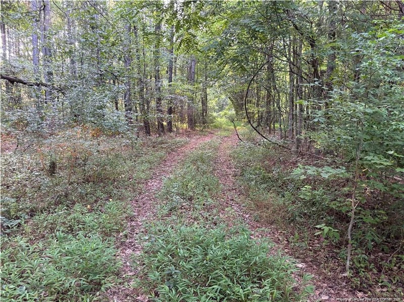 Christian Chapel Church Rd, Lillington, NC 27562