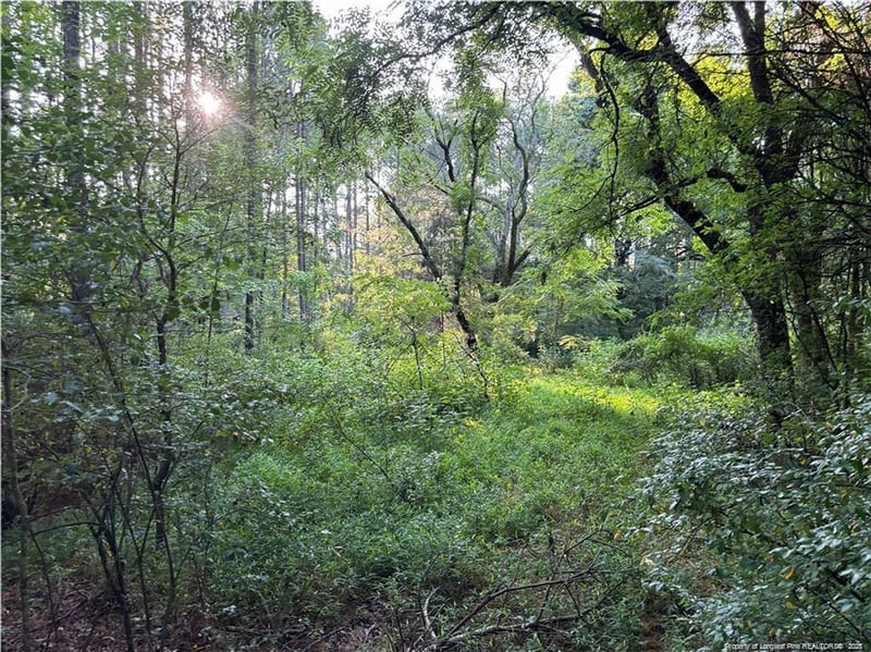 0 Christian Chapel Church Rd, Lillington, NC 27562