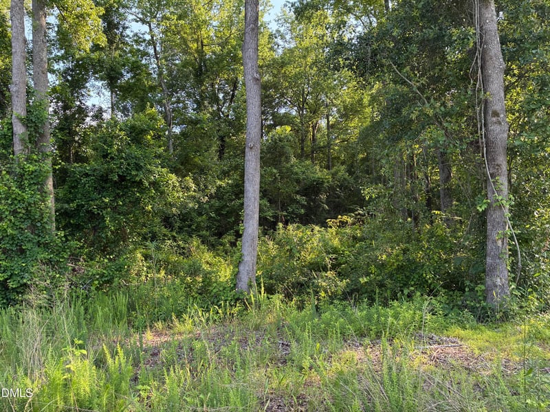 Cleveland Rd, Garner, NC 27529