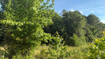 Cleveland Rd, Garner, NC 27529