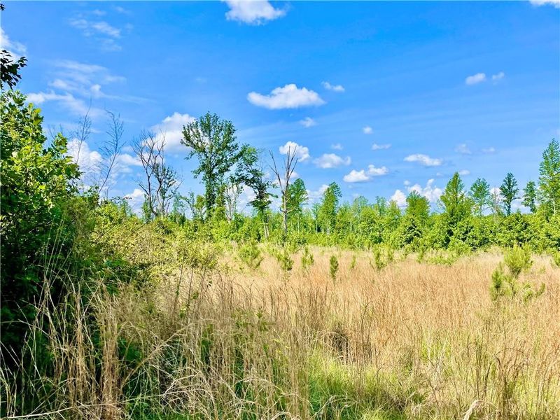 0 Coleman Loop Rd, Hillsborough, NC 27278