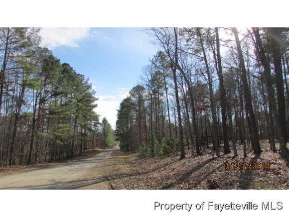 0 Coppermine Rd, Sanford, NC 27330