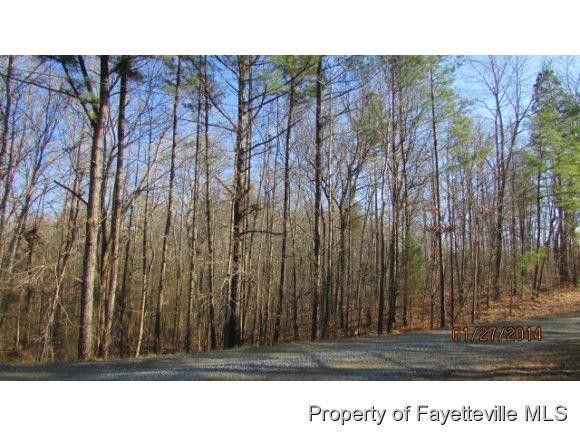 0 Coppermine Rd, Sanford, NC 27330