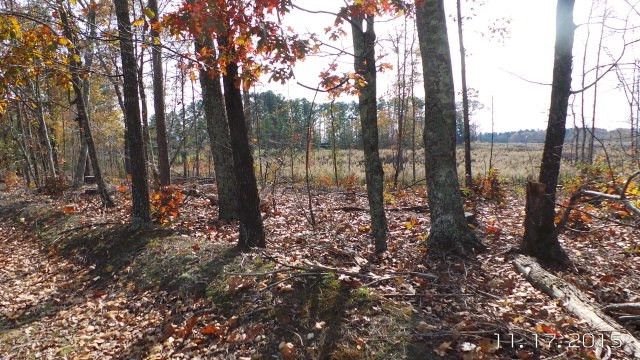 0 Cotten Rd Lot 6, Sanford, NC 27330