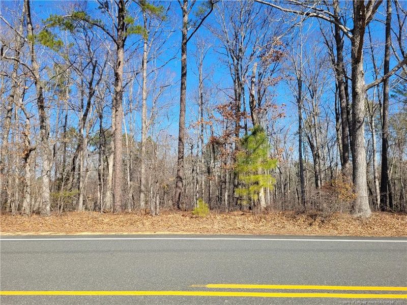 0 Cotten Rd, Sanford, NC 27330