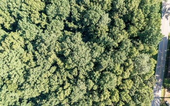 Creech Rd, Garner, NC 27529