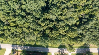 Creech Rd, Garner, NC 27529