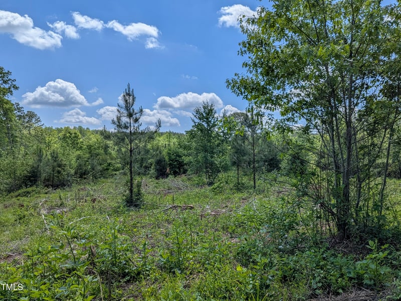 0 Cypress Creek Dr Lot 4, Louisburg, NC 27549