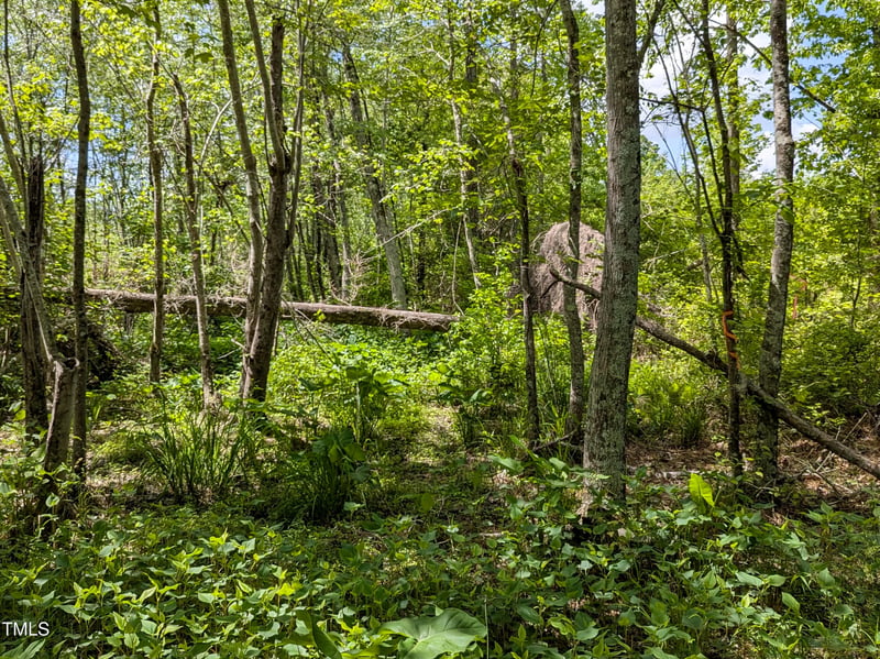 0 Cypress Creek Dr Lot 4, Louisburg, NC 27549
