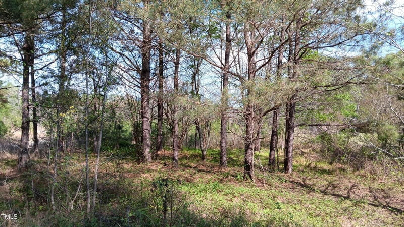 0 Cypress Creek Dr, Louisburg, NC 27549