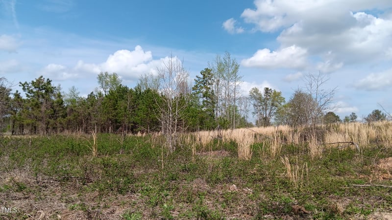 0 Cypress Creek Dr, Louisburg, NC 27549