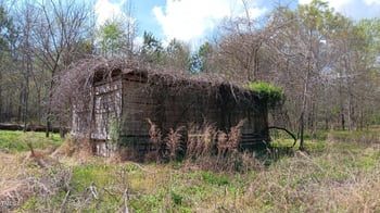 Cypress Creek Dr, Louisburg, NC 27549