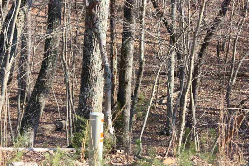 0 Dairyland Rd Lot B, Chapel Hill, NC 27516