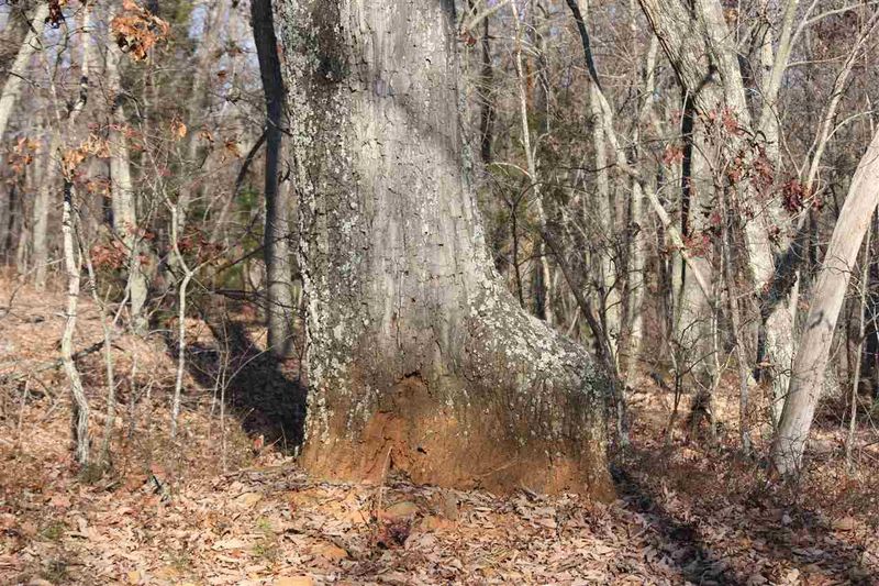 0 Dairyland Rd Lot B, Chapel Hill, NC 27516