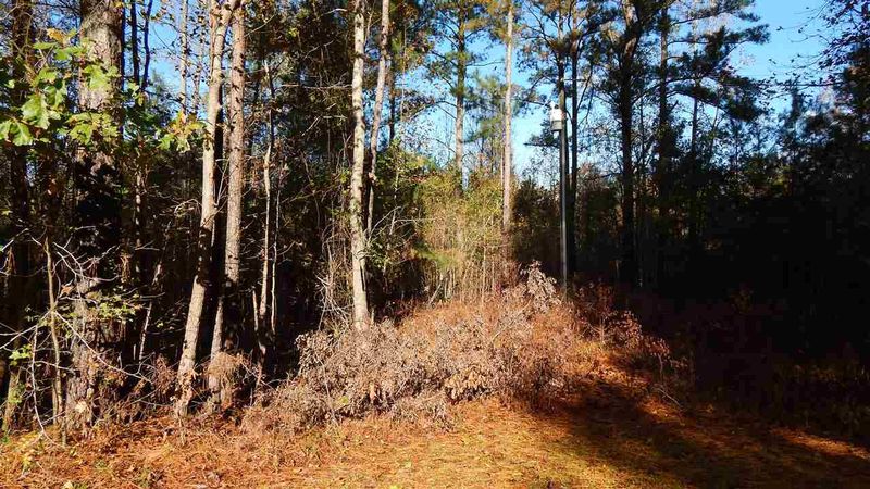 0 David Ln, Clayton, NC 27520