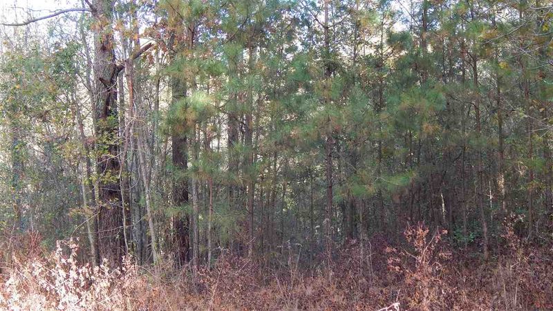 0 David Ln, Clayton, NC 27520