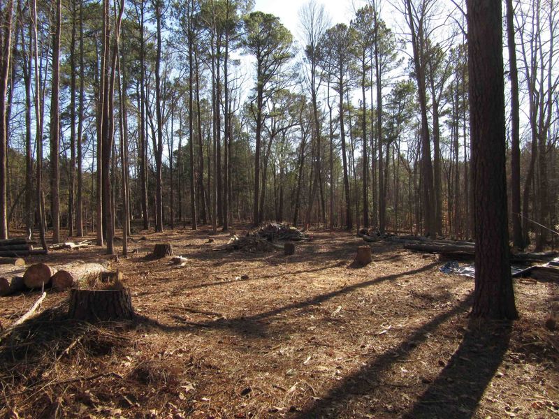 0 Denton Rd, Middlesex, NC 27557