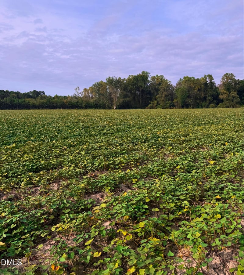 0 Devils Racetrack Rd, Four Oaks, NC 27524