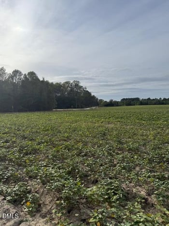 Devils Racetrack Rd, Four Oaks, NC 27524