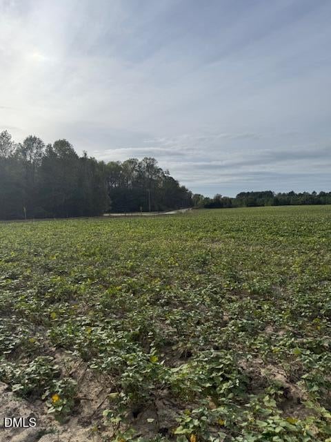 0 Devils Racetrack Rd, Four Oaks, NC 27524