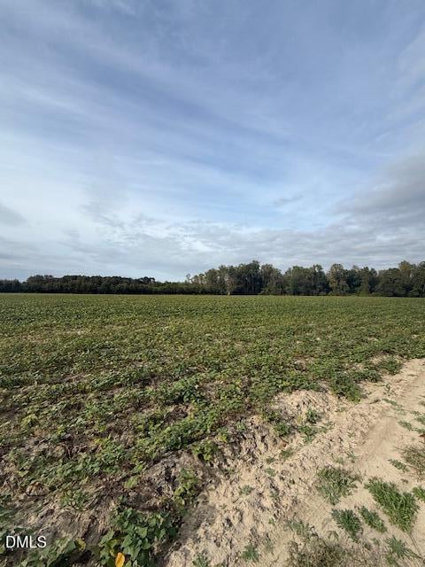 0 Devils Racetrack Rd, Four Oaks, NC 27524