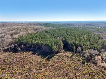 Dewitt Smith Rd, Pittsboro, NC 27312