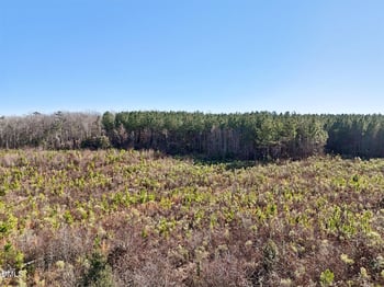 0 Dewitt Smith Rd, Pittsboro, NC 27312