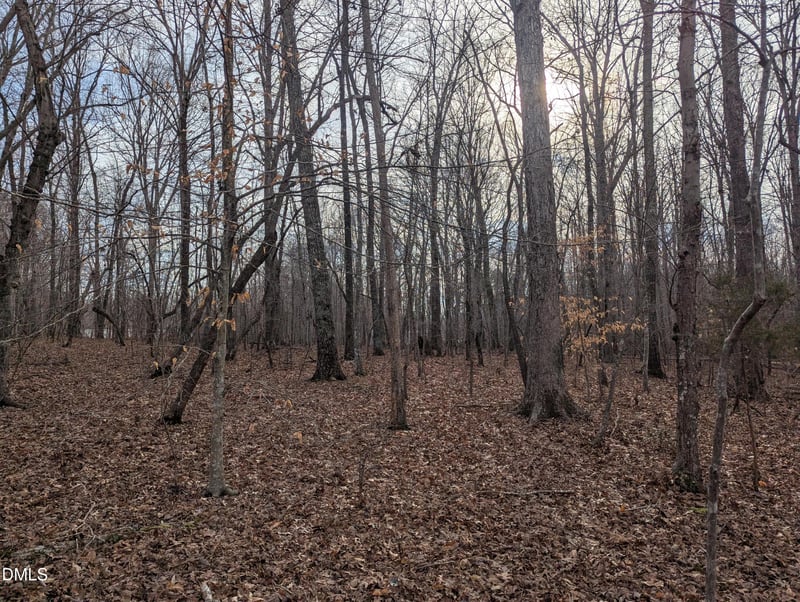 0 Dirgie Mine Rd Lot 5, Roxboro, NC 27574