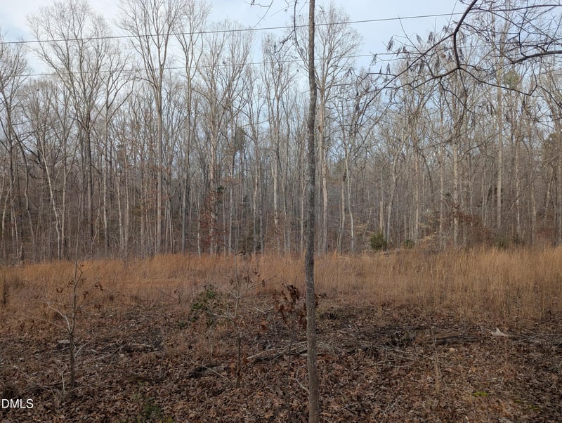 0 Dirgie Mine Rd Lot 5, Roxboro, NC 27574