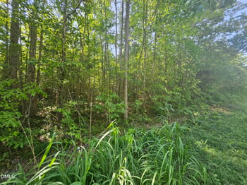 0 Dorsey Rd Lot B, Louisburg, NC 27549