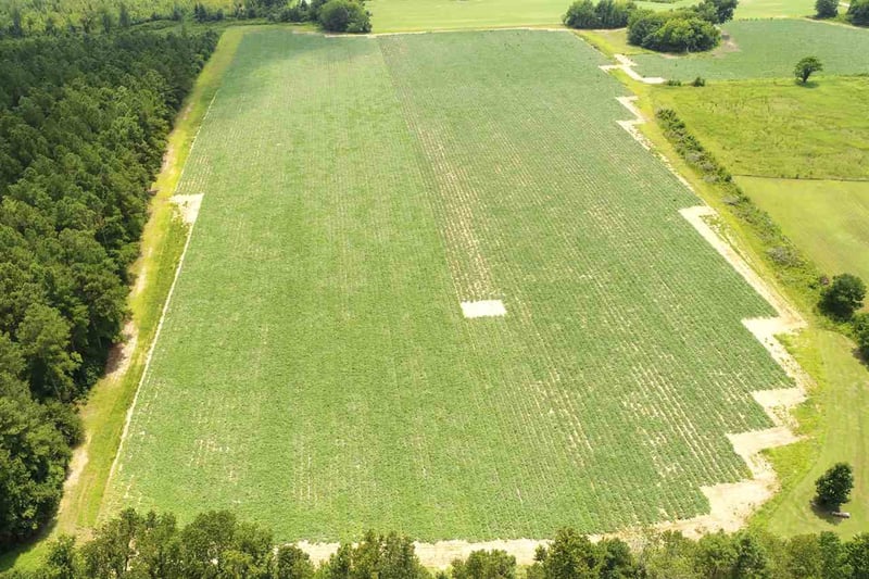 Dry Creek Rd Lot 1, Lillington, NC 27546