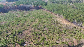 Duke Valentine Wynne Rd, Louisburg, NC 27549