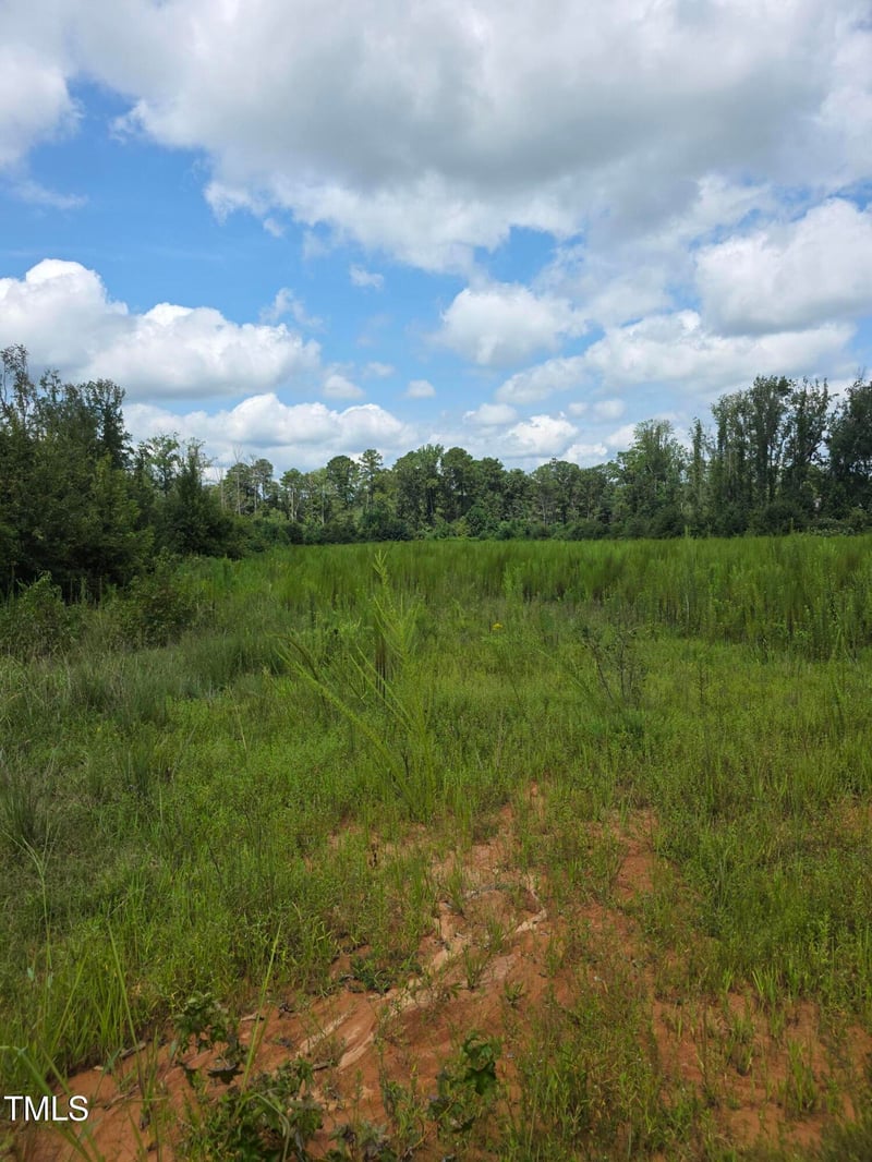 0 Dukes Lake Rd, Zebulon, NC 27597