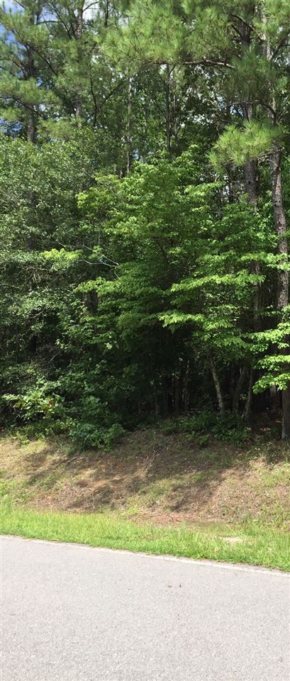 0 Dunn Rd, Selma, NC 27576
