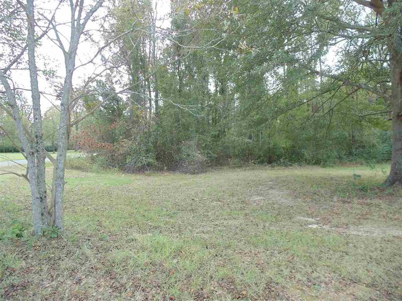0 Durant Rd Lot TBD, Clayton, NC 27520