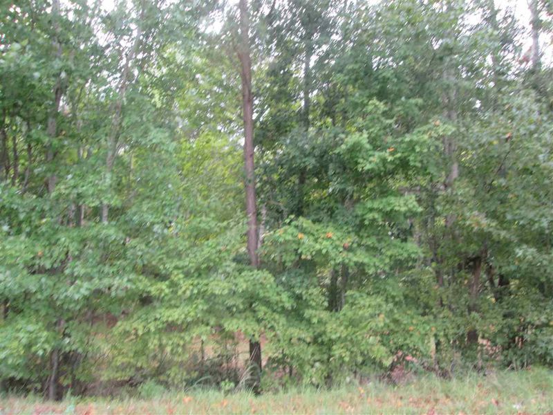0 Dycus Rd Lot 2, Sanford, NC 27330